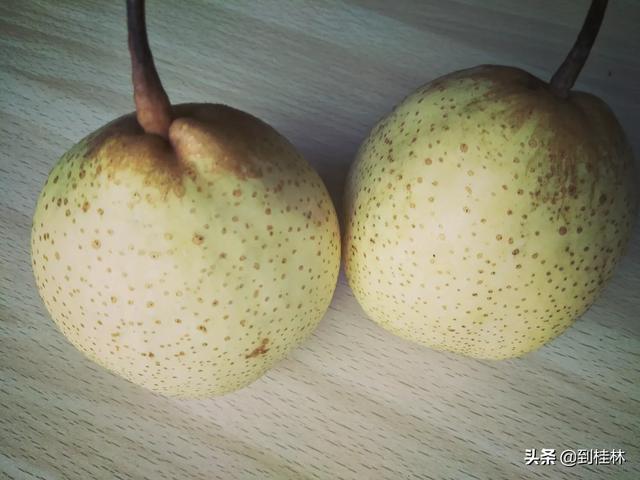 辉县东耿村灵异事件:你最记忆犹新的家乡土特产是什么？