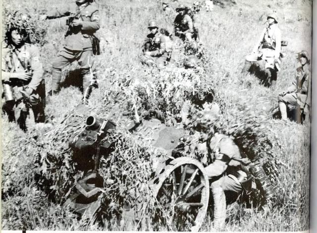 抗战时期，中国曾装备德国的装备，效果怎么样？插图88