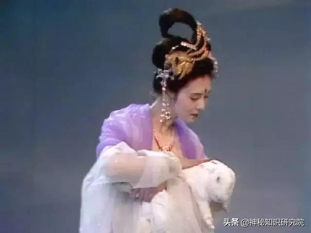 嫦娥的老公是谁图片:猪八戒调戏的嫦娥只是个舞女而已，为什么会受到这么重的惩罚