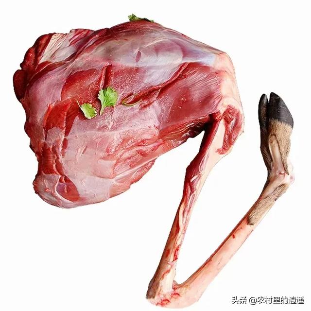 壮阳的肉类，为什么鹿那么多，鹿肉没有像猪肉牛肉一样，成为人类的传统肉食？