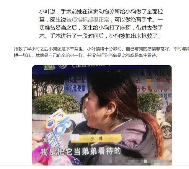瑞典腊肠犬有出售吗:哪里可以买到优质的捷克狼犬？
