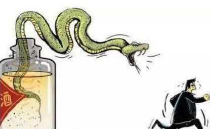 蛇泡到酒裡，蛇身體裡寄生蟲會被酒泡死嗎？喝瞭會感染寄生蟲嗎？
