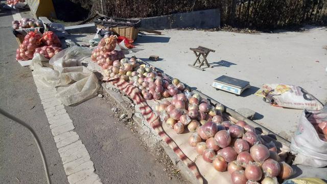 秋田犬八千電影趨勢:国际黄金价格“瀑布式”跳水，谁才是幕后元凶？