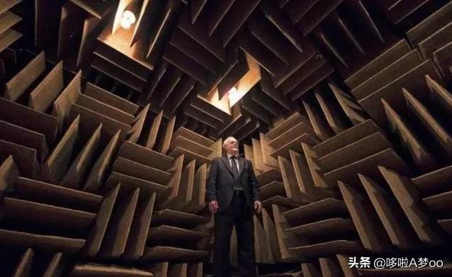 为什么有人说很少有人能在绝对静音无声的密室里撑过1小时？插图47