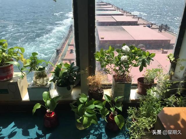 海员讲述的灵异事件:船员去了那么多国家，遇到过什么古怪的习俗吗？