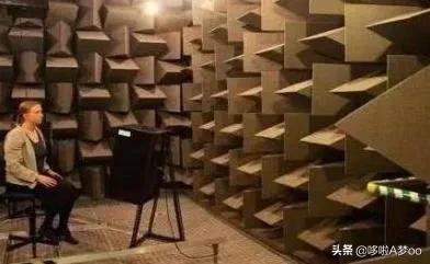 为什么有人说很少有人能在绝对静音无声的密室里撑过1小时？插图50
