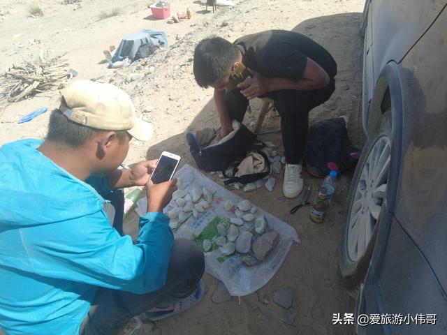 新疆的候鸟有哪些:新疆棉花质量好 新疆都有什么地方可以捡石头？现在还来得及吗？