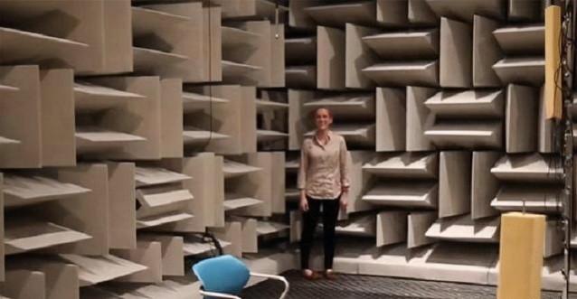 为什么有人说很少有人能在绝对静音无声的密室里撑过1小时？插图17