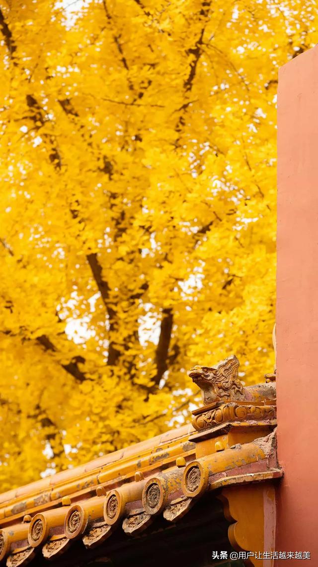 阴气重的女人命好吗,命好的女人，身上都有什么样的习惯？