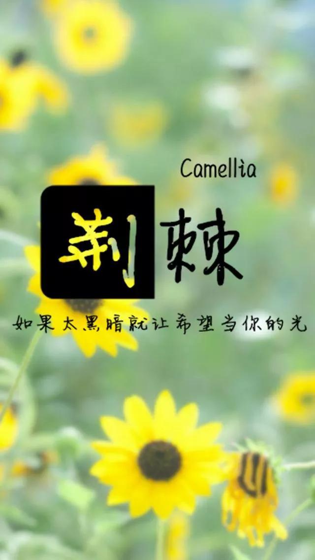 高晓松入狱:人心一定换人心吗为什么一碗水端不平