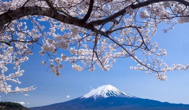 为什么德军装扮英军不容易被认出来，而日军装扮八路军总是露馅？插图