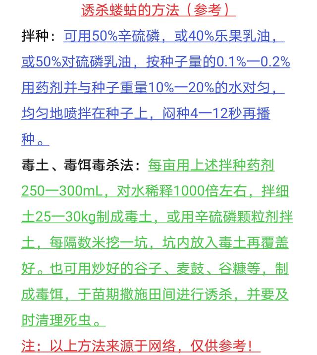 土狗子虫 是益虫:杀死蝼蛄等地下害虫最好的方法是什么？