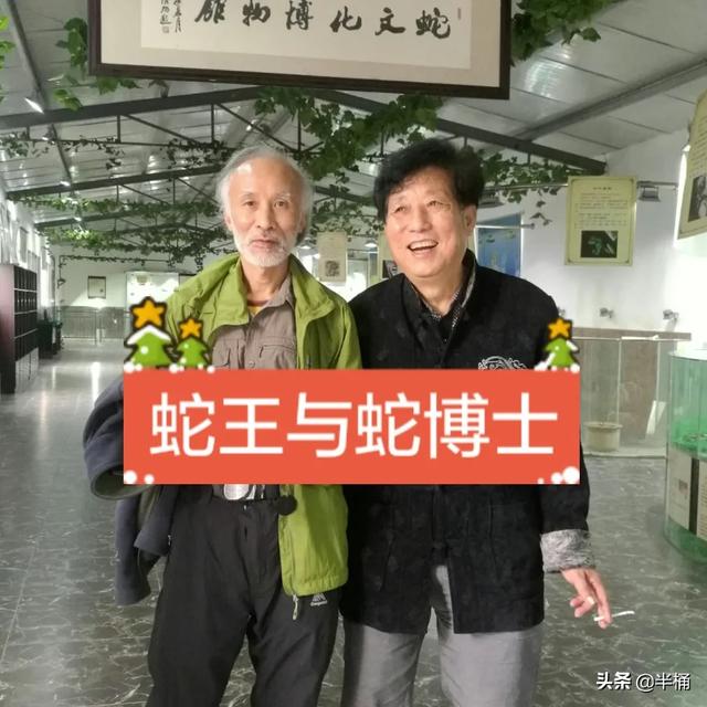 莽山烙铁头多少一条:莽山矛头蝮为什么被称为“蛇中熊猫”？它很珍贵吗？