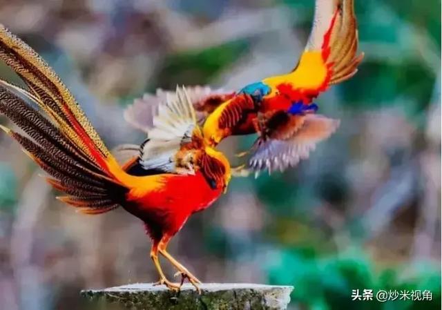 你遇到过的最诡异、最难以解释且至今仍在困惑的事情是什么？
