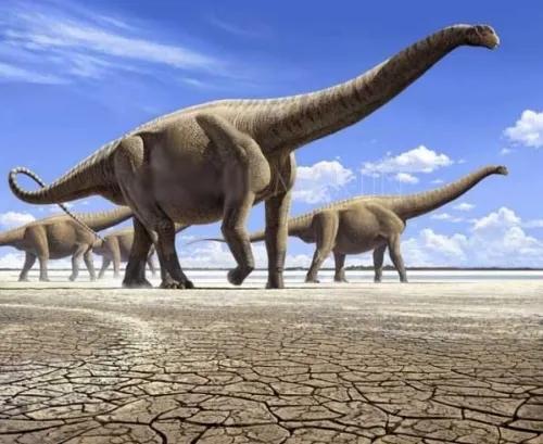 世界上最大的水怪是什么，自古以来地球上出现过的最大生物是什么
