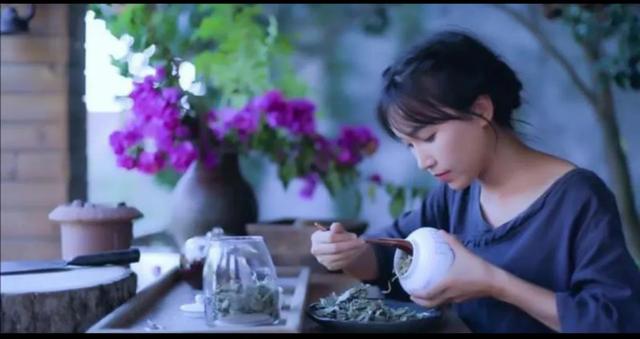 风靡全世界的中国第一网红,李子柒,到底是被谁的势力彻底封杀？