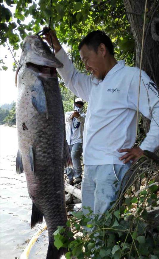黄河边的真实图片大全，黄河有哪些大型的鱼类吗黄河最大的鱼有多大有什么特殊鱼类