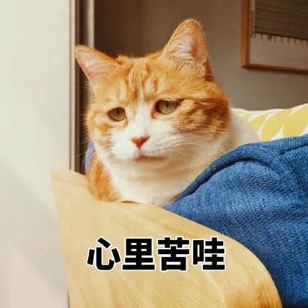 如何不带穷字的表达穷困潦倒？