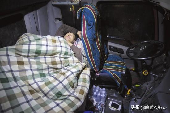 高速上动物灵异事件:你如何看待司机为避让闯入高速公路的动物而车毁人亡？