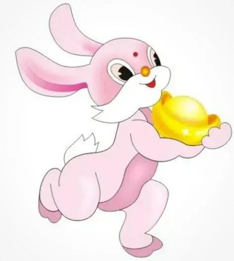 注定富贵的日柱,日柱有天德月德国印华盖什么意思？