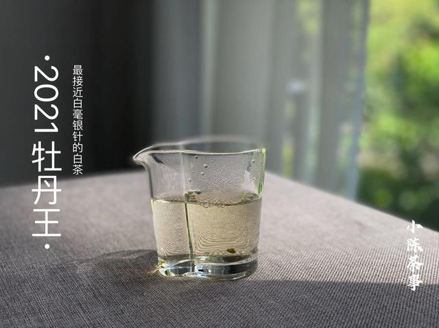 白茶的功效与作用及食用方法,绿茶和白茶可以一起混泡吗？