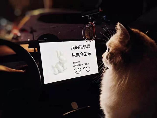 比亚迪和特斯拉到底差距在哪里？插图40