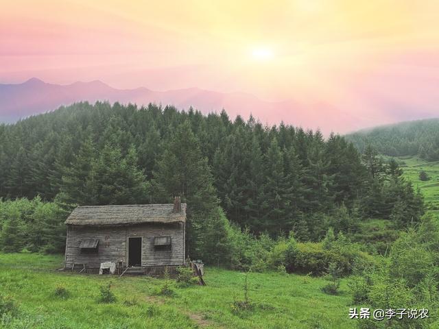 会爬树的鱼免费阅读:为什么有人说退休后千万不要回乡下老家生活？