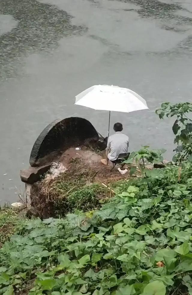 渔民发现灵异事件:渔民打鱼发现像龙的“物种”, 真的是龙的后代吗？