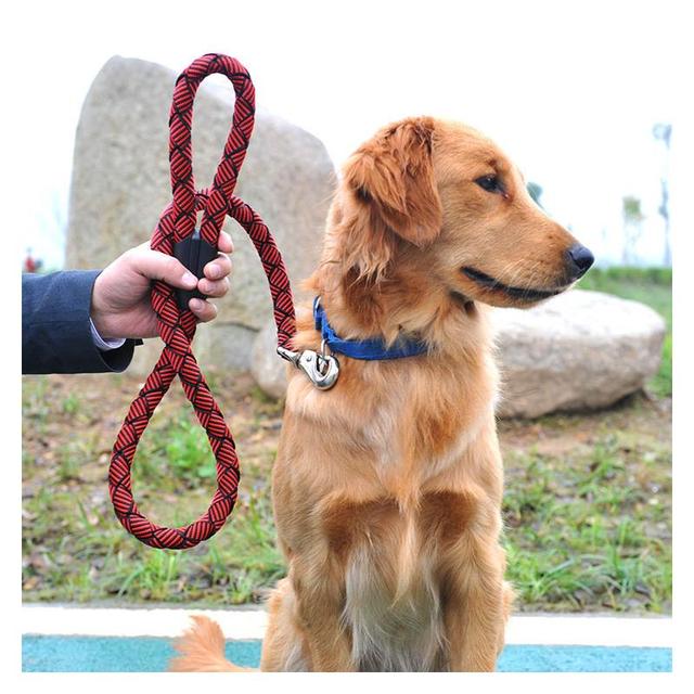 广安禁养大型犬有哪些:城市里养什么狗用来守家防卫最好？