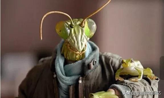 昆仑山市灵异事件:昆仑山螳螂人事件是怎么一回事？螳螂跟人类一样大，会发生什么？