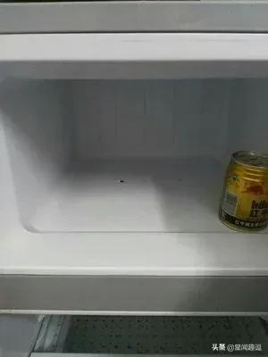 出远门时，为什么要给冰箱里放一枚硬币？插图22