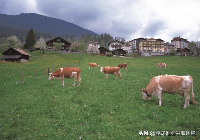 农村创业做点什么比较好？