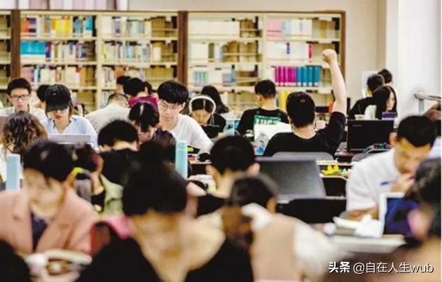 一只狗的大学生活手机版:一个人独居，养一只狗为伴，好不好？