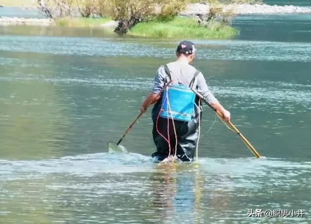 长江白鲟一条也没有了吗，长江鲥鱼是不是已经没有了