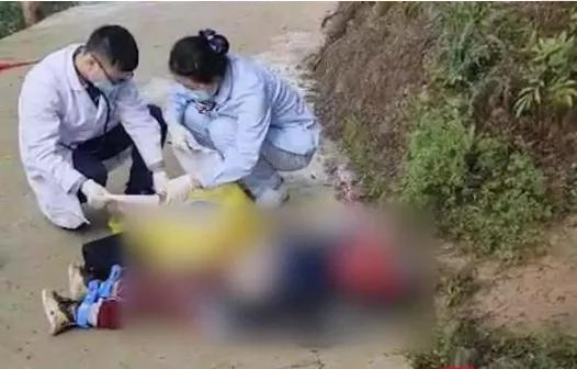 重庆藏獒伤人:如何看待福建漳州七旬老人被恶犬撕咬至死，狗主仅愿赔10万？
