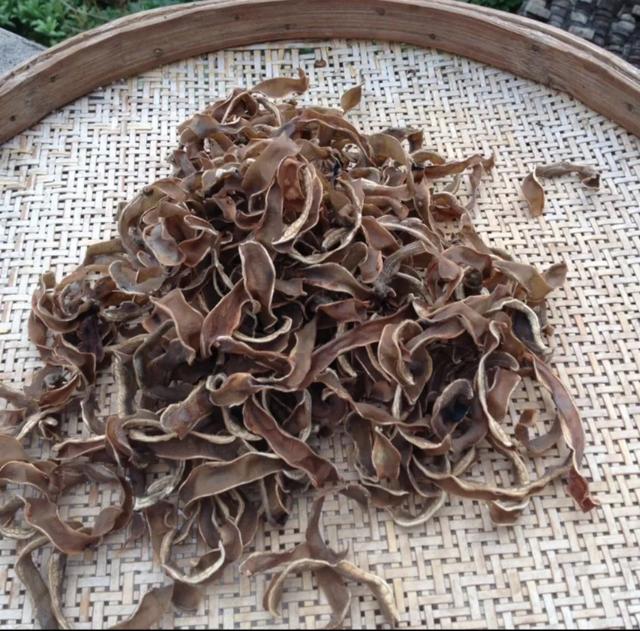 狗豆子什么样:狗豆子长长什么样 狗爪豆有毒，为什么还有这么多人喜欢吃？