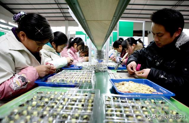 盲目要二胎的后果有多严重？插图26