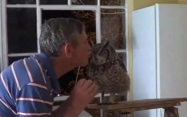 大家听过或经历过最感人的动物报恩的故事是什么？插图12