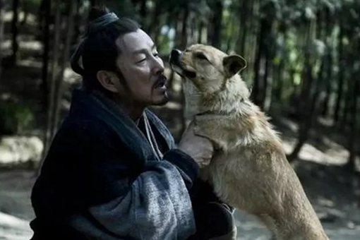 牛头敖犬个人资料:古代为什么会出现挂羊头卖狗肉?宋徽宗时期曾禁止屠狗？