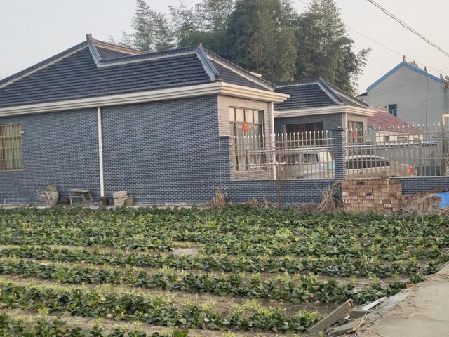 止吠器声音识别方案:农村夜里为什么半夜听到狗叫，千万别出去查看原因？