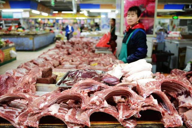 山东金丝雀价格:猪肉局部“飘红”，蛋价跌破4元，玉米凉凉，何时会迎来拐点？
