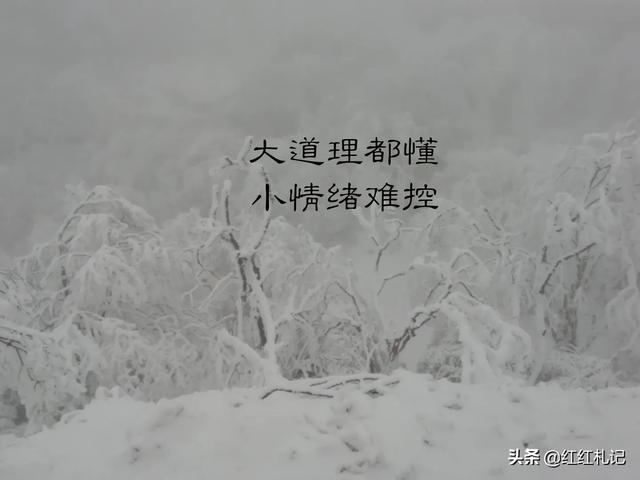 有什么句子让你莫名心酸伤感，句句扎心，红了眼眶