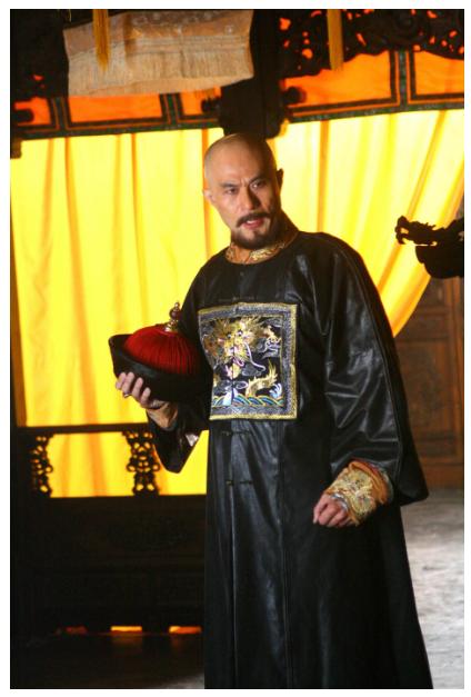 多尔衮执掌朝政时，索尼、鳌拜等大臣在干什么？插图125