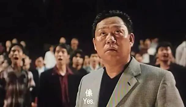 巴西獒犬视频:想养柴犬，柴犬有什么缺点呢？