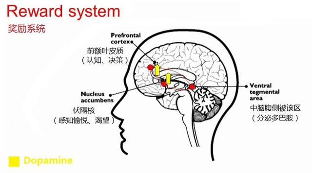 蜘蛛狗恶作剧在线观看:为什么一部电影都不愿意看完？ 蜘蛛狗恶作剧视频