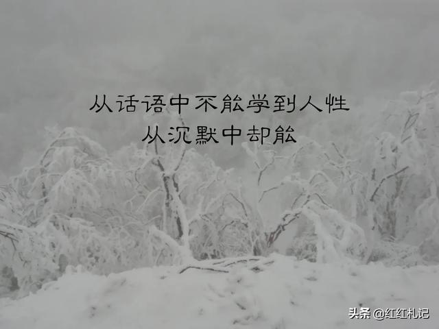 有什么句子让你莫名心酸伤感，句句扎心，红了眼眶