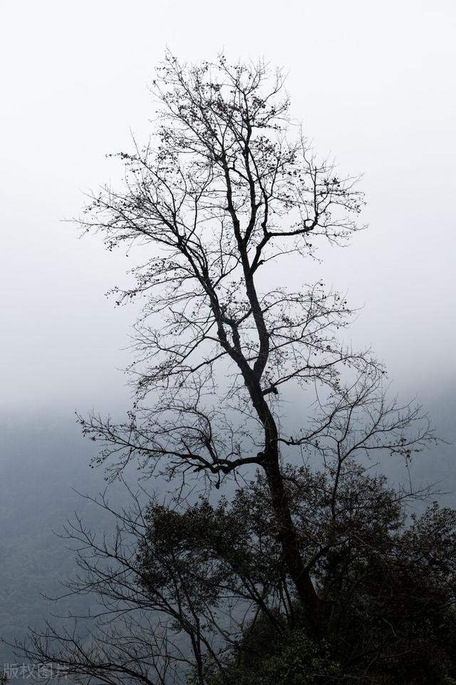 普通乡镇事业单位管理岗科员,正常情况下最高能升到什么职务？