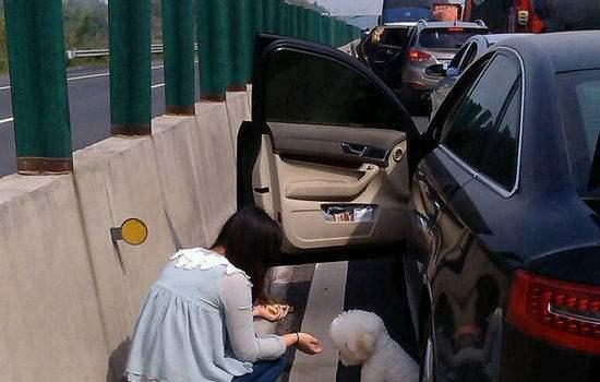 旅游堵在高速公路上,七八个小时,女的尿急,如何处理最妥当？