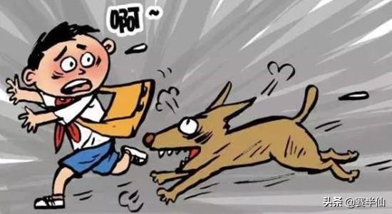 狗的命门在哪里？被大型犬追咬时，怎样做才是正确的自救方法？插图2