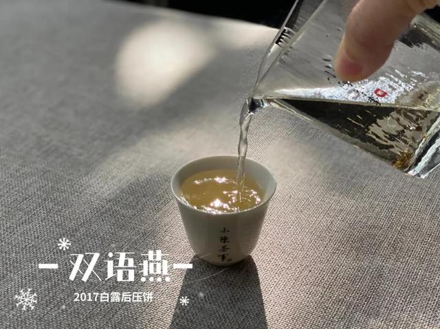 白茶杯犬多少钱一只:买老白茶，送焖烧壶，最近这种广告铺天盖地，值不值得买？